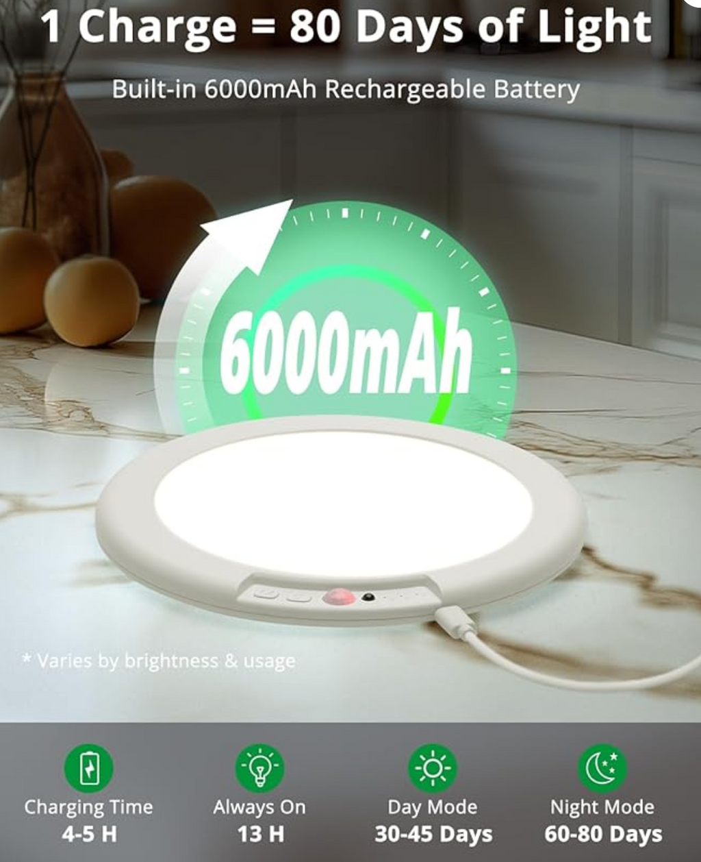 Omnigineer SmartGlow™ - Motion Sensor Ceiling Light